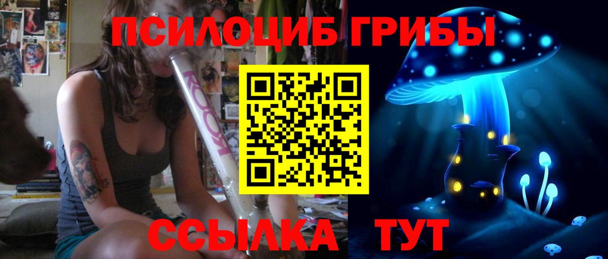 Галлюциногенные грибы GOLDEN TEACHER  Псилоцибиновые грибы мухоморы  Горячий Ключ  Вход с VPN 